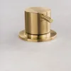 70. Brushed Gold